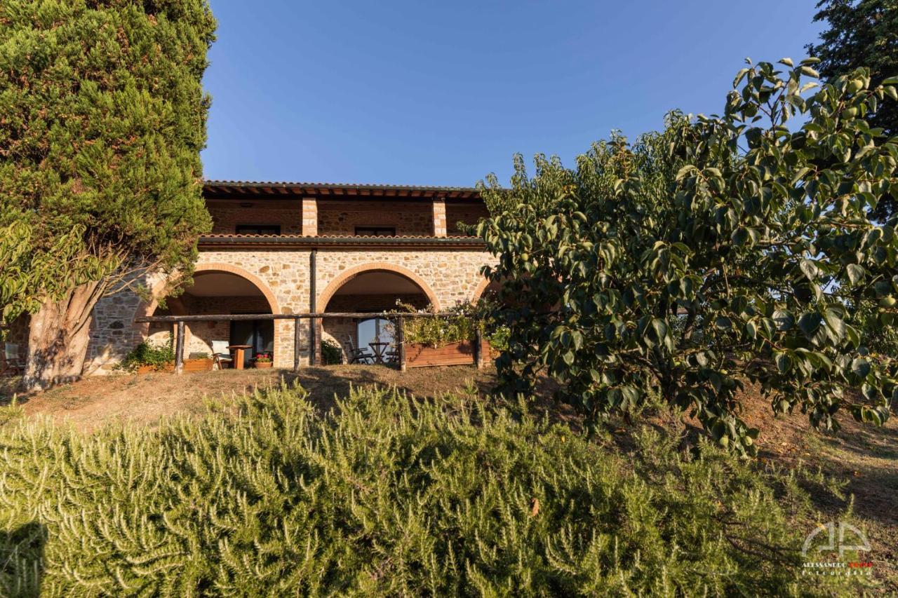 Villa Sant Anna 사세타 외부 사진